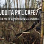 Sector azucarero de Colombia en jaque ¿Azuquita Pa’l Café?