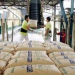 Honduras: Aumenta la producción de azúcar en la zona norte del país