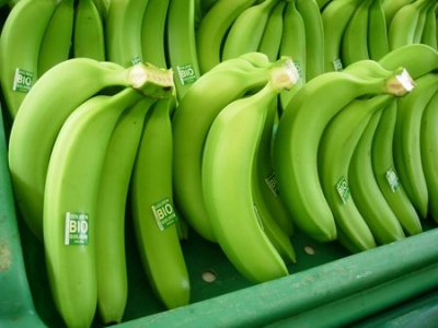 Solución a crisis bananera panameña en manos de transnacional