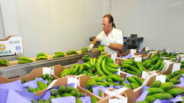 La japonesa Sumitomo pacta la compra del importador de frutas irlandés Fyffes por 751 millones
