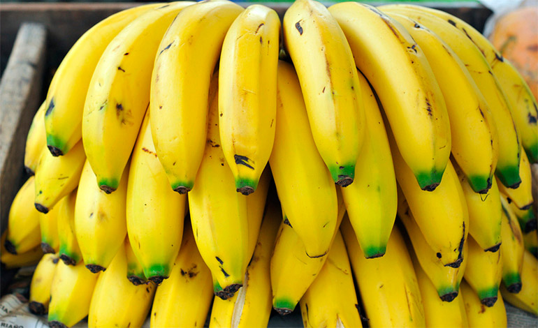 El banano es segundo producto de exportación