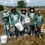 Trabajadores de Fyffes en Costa Rica, sufren los abusos de Anexco (Fyffes)
