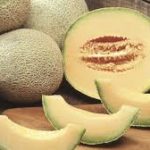 Guatemala desbanca a España en exportación de melón