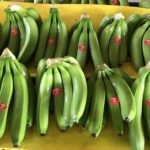 EE. UU.: La importación de bananas es escasa