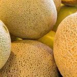 Honduras hará el primer envío de melón a México
