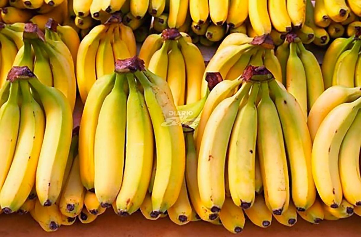 Bananeros temen nueva guerra; Cadena alemana amenaza con bajar el precio