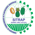 Ministerio de Trabajo de Costa Rica homologa Convención Colectiva entre SITRAP y Dole