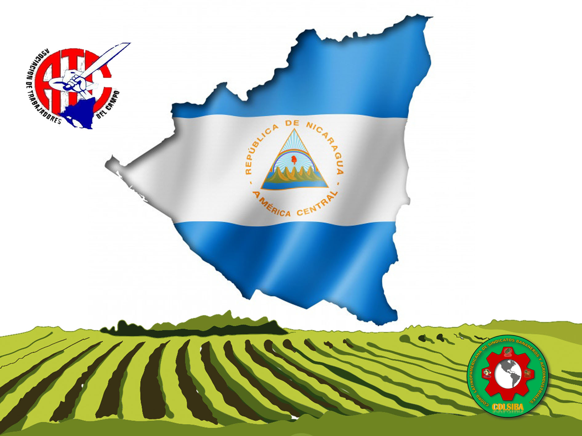 Nicaragua / ACT pide medidas de bioseguridad para trabajadores del campo