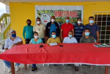 COLSIBA analiza los efectos de la pandemia en el sector bananero de Ecuador