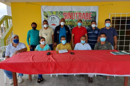COLSIBA analiza los efectos de la pandemia en el sector bananero de Ecuador