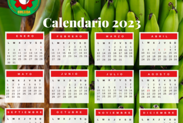 Calendario planificador Sindical 2023