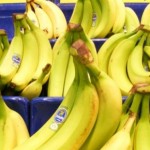 Honduras busca ampliar producción de banano con mil 200 hectáreas