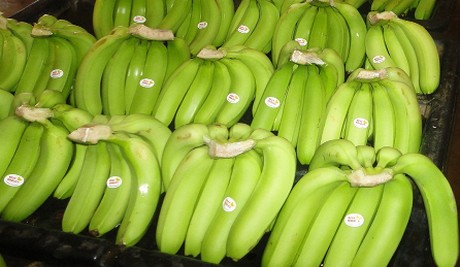 ¿Qué significa para los productores? Lidl se pasa a las bananas sostenibles
