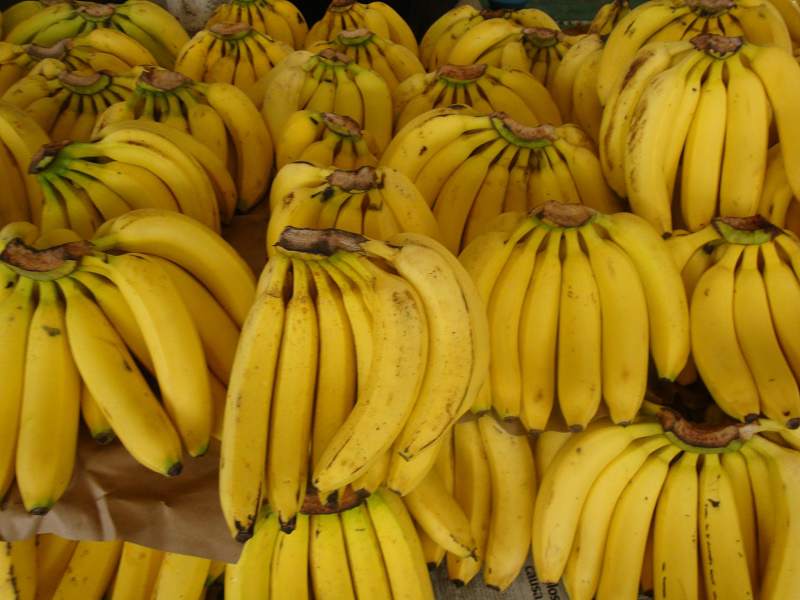 Guatemala: El banano supera al café en ingreso de divisas