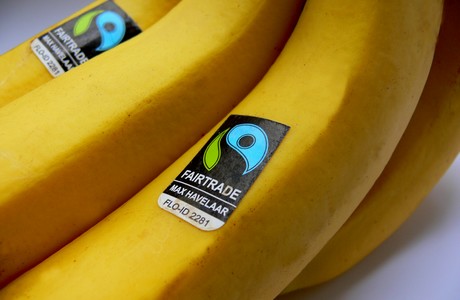 Rainforest Alliance y Fairtrade: Netto Marken-Discount solo vende bananas de cultivo sostenible