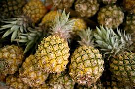 Costa Rica: Repuntan las exportaciones lideradas por banano y piña