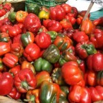 Perú: Condiciones propicias para exportar pimiento a EE. UU.