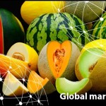 Resumen del mercado global del melón y la sandía
