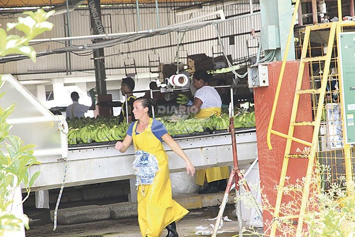 Trabajadoras denuncian aborto, acoso sexual y agresiones