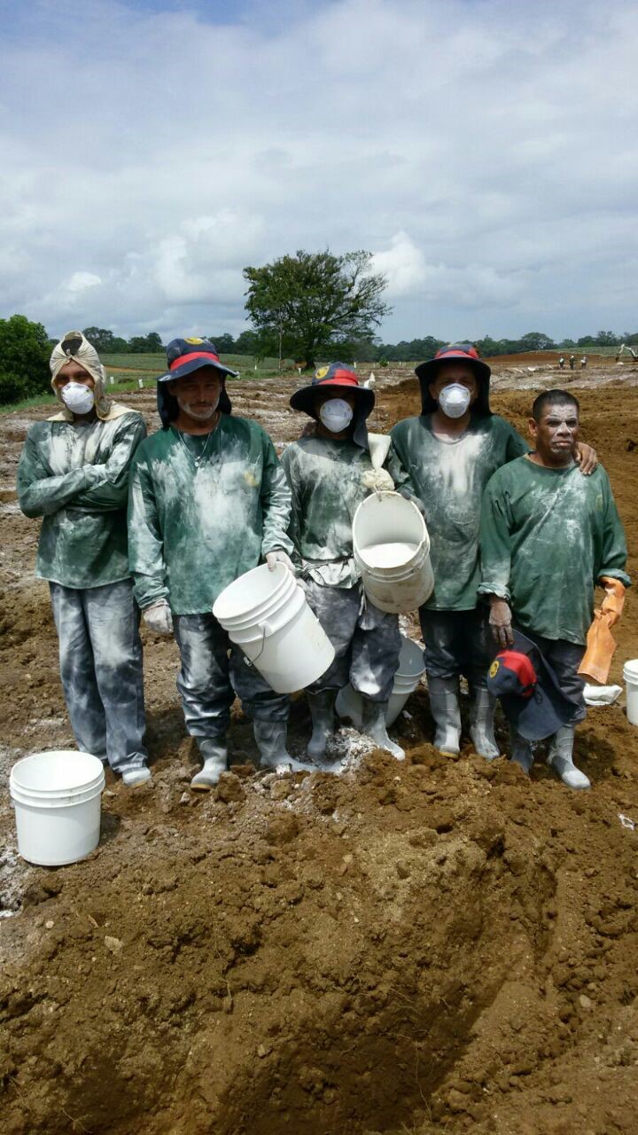 Trabajadores de Fyffes en Costa Rica, sufren los abusos de Anexco (Fyffes)