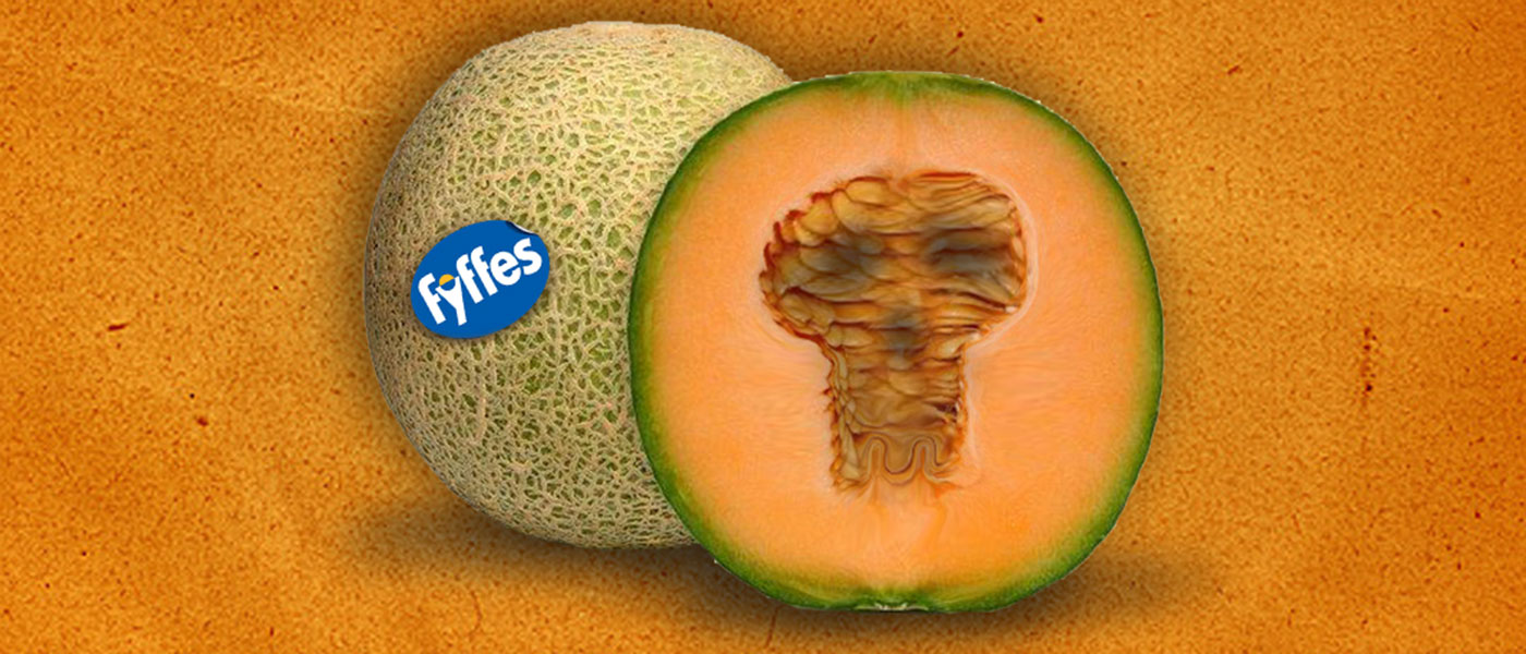 Mujeres intoxicadas en las meloneras de Fyffes