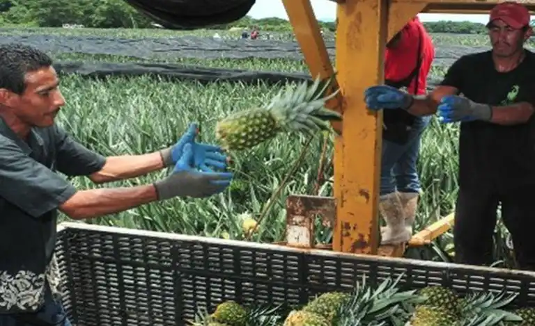 Celebran ingreso de Costa Rica a ruta de la seda