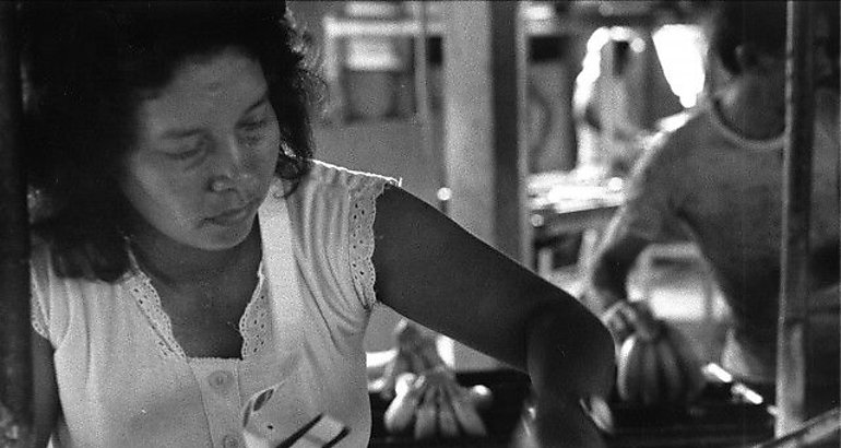 Panama: Aprueban protección laboral para mujeres embarazadas de las bananeras