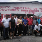 Trabajadores bananeros declaran huelga en cinco fincas
