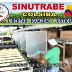 Colsiba y Sinutrabe toman medidas de Bioseguridad