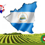 Nicaragua / ACT pide medidas de bioseguridad para trabajadores del campo