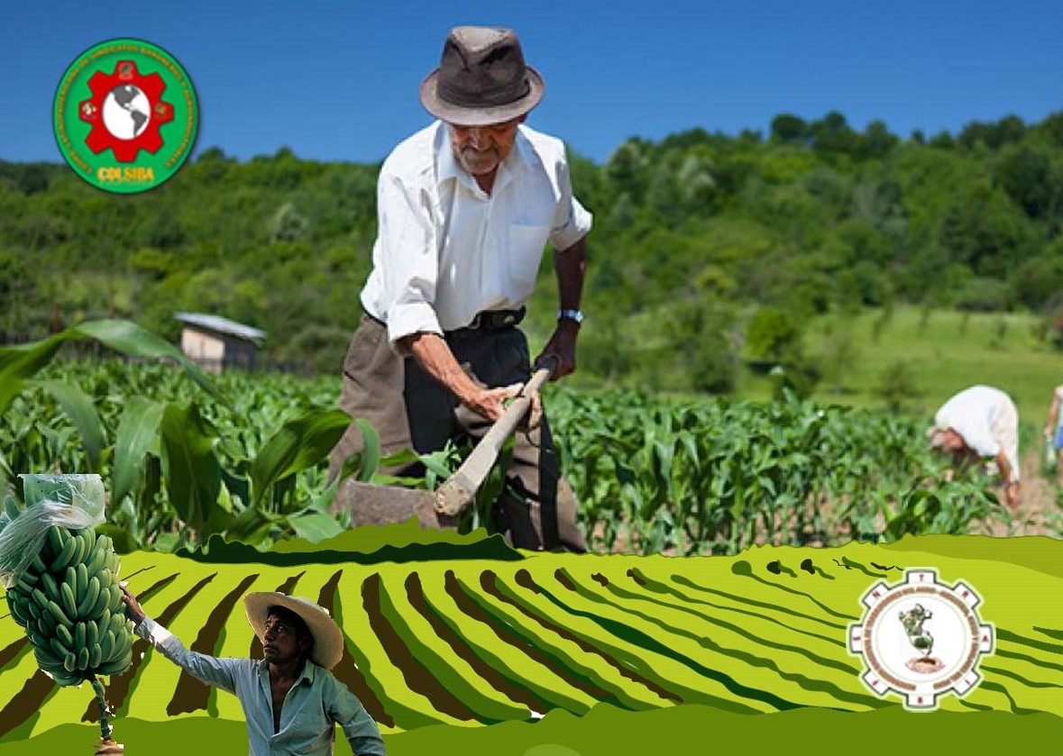 Derogatoria de la Ley Chlimper en Perú ¡Triunfo de los trabajador@s de agro!