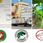 Sitagah-Cosibacr denuncia a Standard Fruit Company