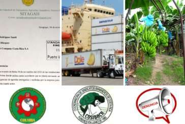 Sitagah-Cosibacr denuncia a Standard Fruit Company