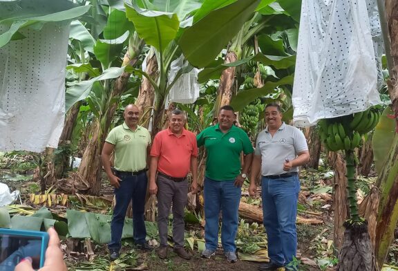 Sindicatos Bananeros en Honduras Buscan Fortalecer la Unidad Sindical para Mejorar Condiciones Laborales
