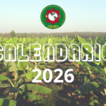 Calendario Colsiba 2026