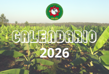 Calendario Colsiba 2026