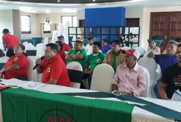 Sindicato STAS denuncia explotación laboral en meloneras de Fyffes Ireland