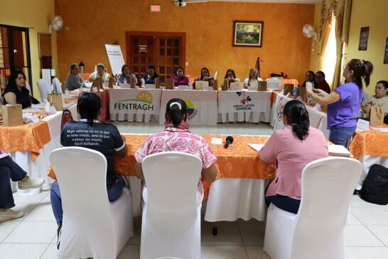 Mujer, violencia y antisindicalismo: reflexiones y desafíos desde el movimiento sindical