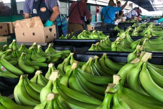 SITRAINANA detecta incumplimientos en pagos de prestaciones laborales de Chiquita Panamá