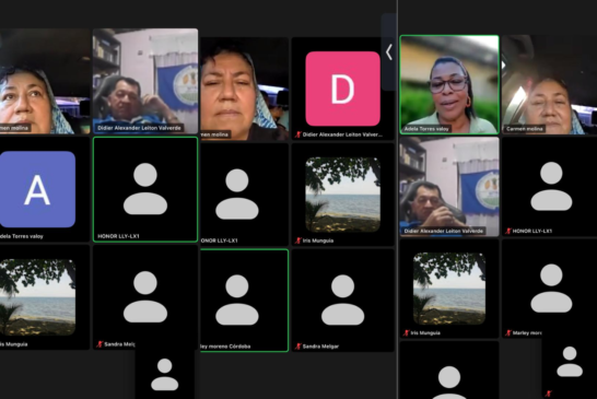 Encuentro virtual refuerza la participación de las mujeres en los sindicatos