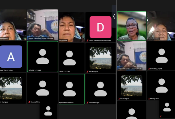 Encuentro virtual refuerza la participación de las mujeres en los sindicatos