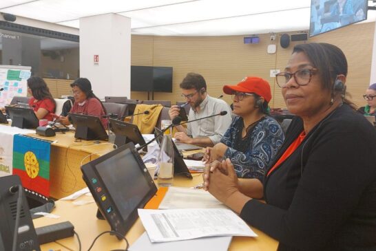 Colsiba participa en el Foro del Mecanismo de la Sociedad Civil y los Pueblos Indígenas