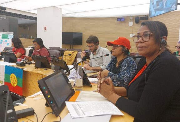 Colsiba participa en el Foro del Mecanismo de la Sociedad Civil y los Pueblos Indígenas