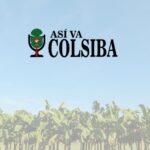 Así va Colsiba: una mirada regional al movimiento bananero y agroindustrial