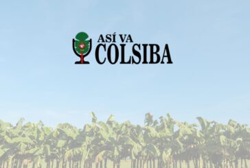 Así va Colsiba: una mirada regional al movimiento bananero y agroindustrial