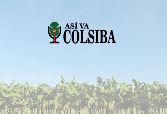 Así va Colsiba: una mirada regional al movimiento bananero y agroindustrial