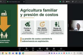 Foro Mundial Bananero fortalece el diálogo para prevenir el trabajo infantil y el trabajo forzoso