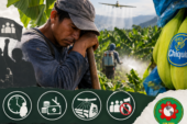 Exigimos respeto por los derechos laborales y sindicales en la cadena del banano