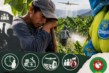 Exigimos respeto por los derechos laborales y sindicales en la cadena del banano